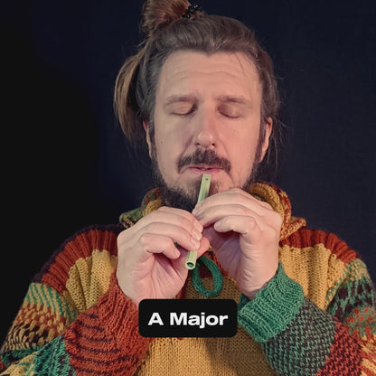 Single Tune